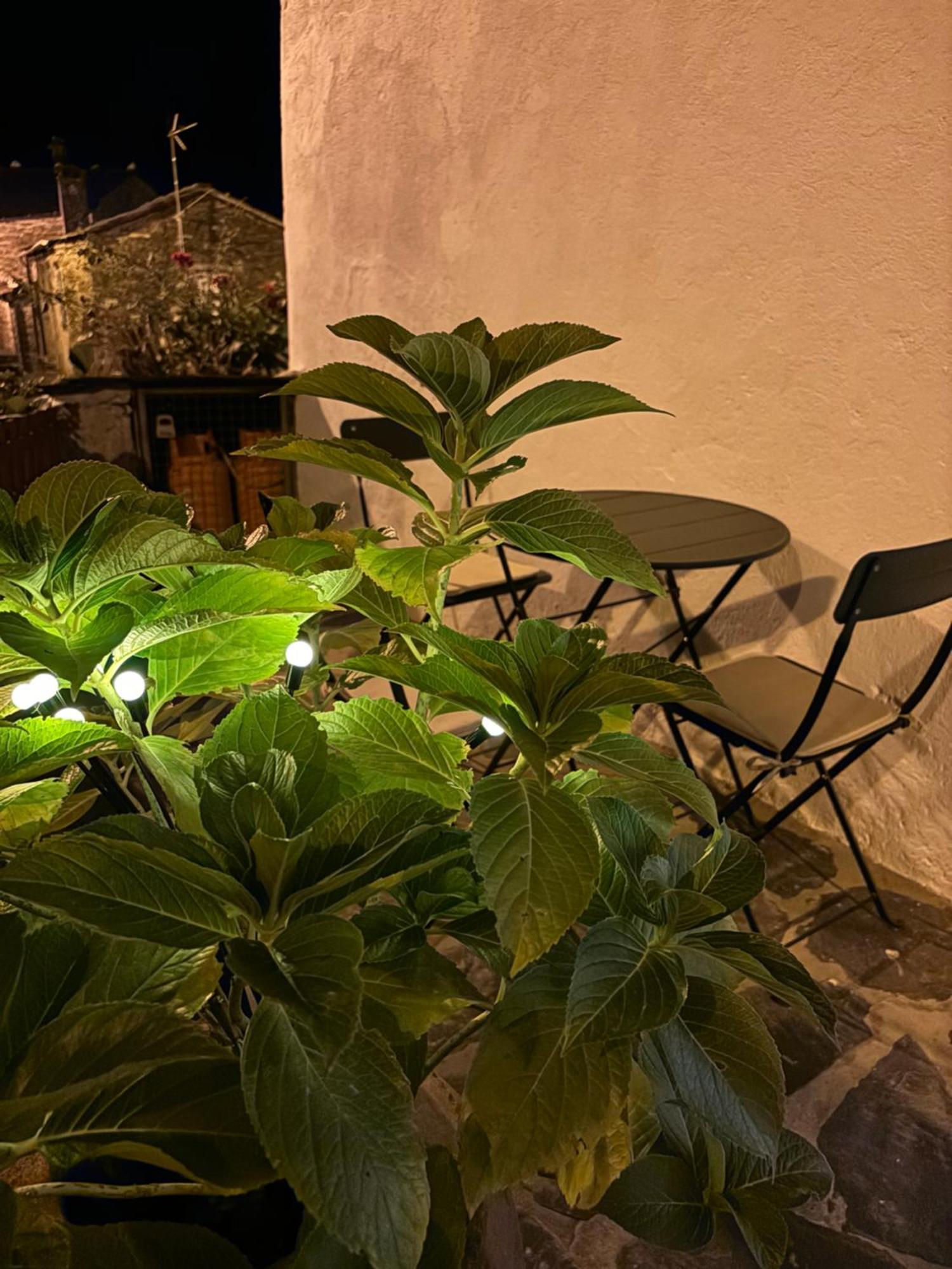 Encanto De Xisto Piódão Extérieur photo